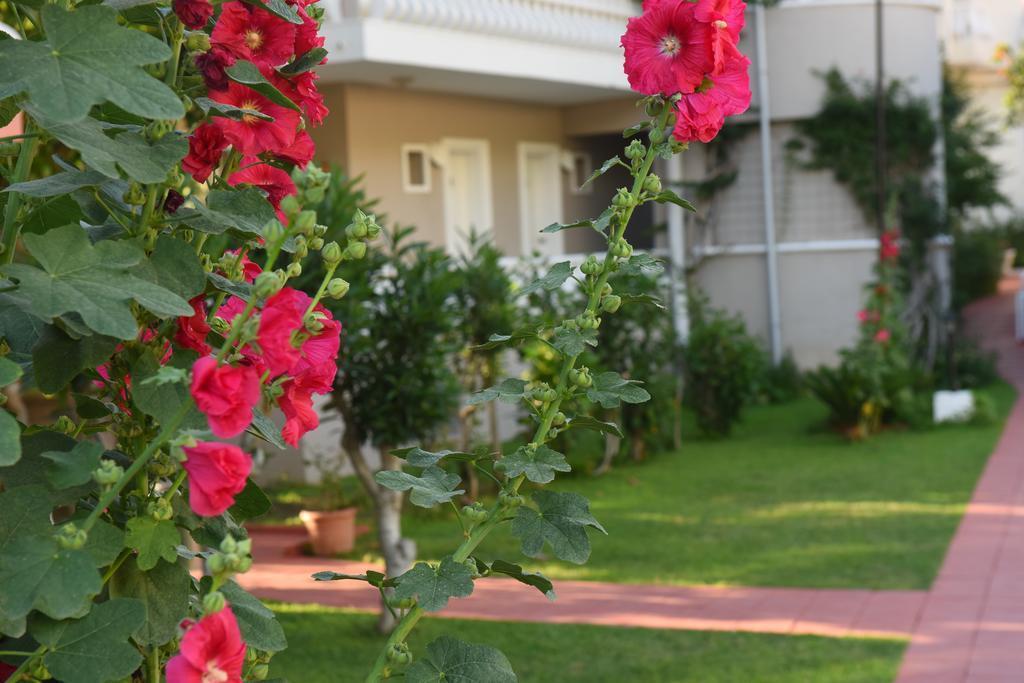 Oludeniz Turquoise Hotel Zewnętrze zdjęcie