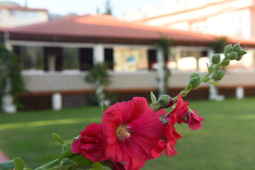 Oludeniz Turquoise Hotel Zewnętrze zdjęcie